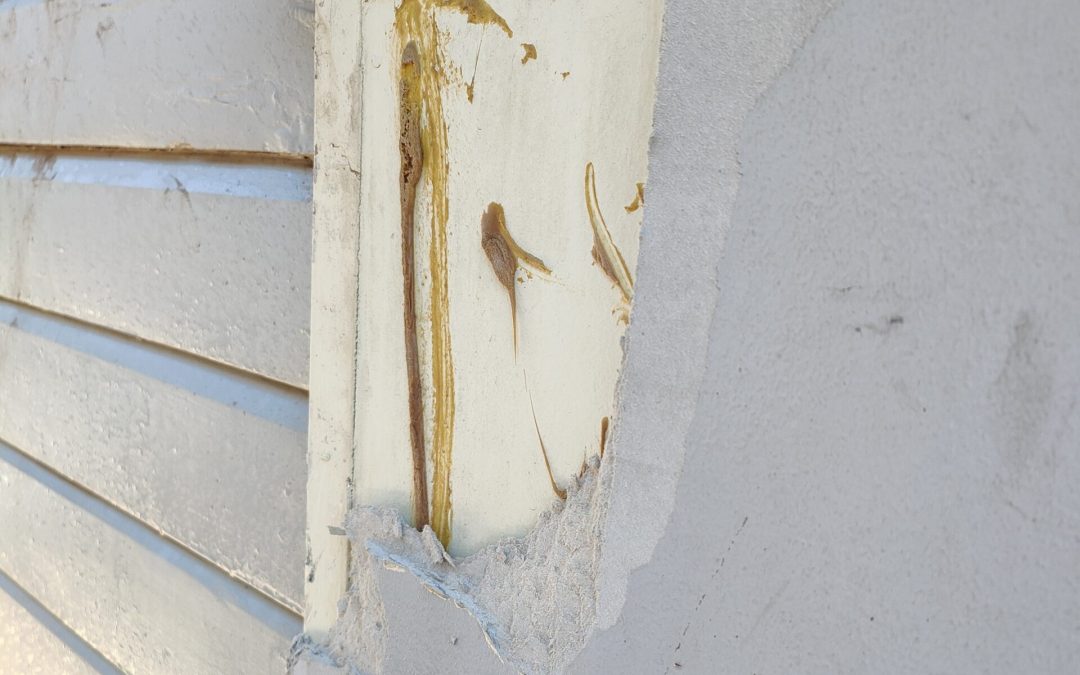 What is Asbestos?