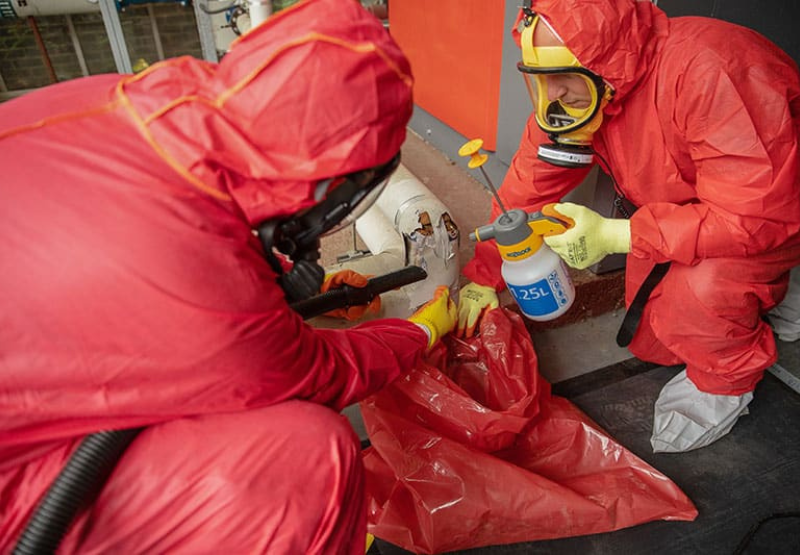 Asbestos Mount isa team 
